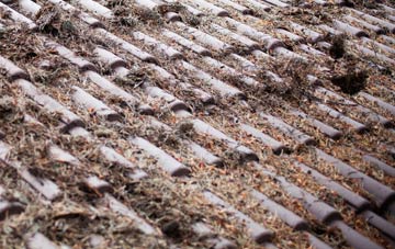 Norrington Common roof cleaning companies